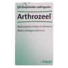 Arthrozeel 50 Comprimidos Sublinguales